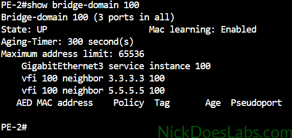 show bridge-domain 100