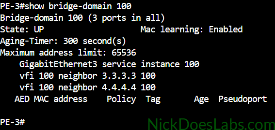 show bridge-domain 100