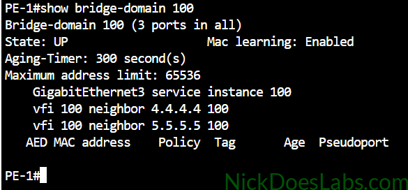 show bridge-domain 100