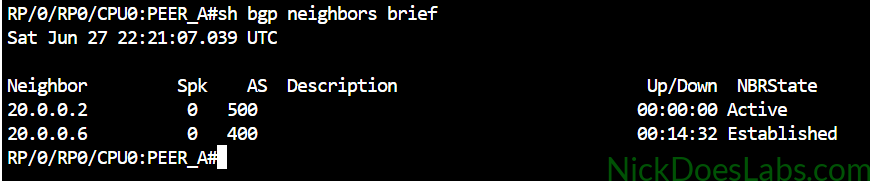 show bgp neighbor brief