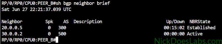 show bgp neighbor brief