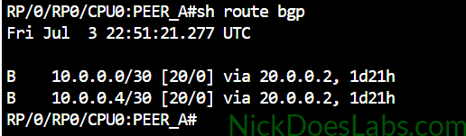 show route bgp with route filtering