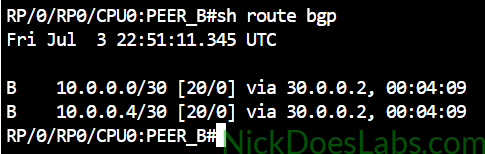 show route bgp with route filtering