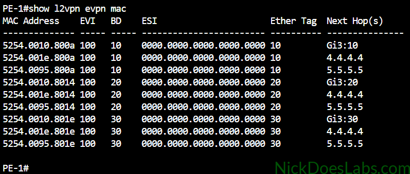 show l2vpn evpn mac